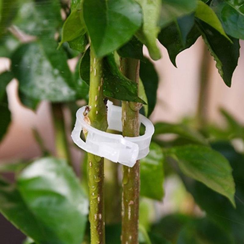 50PCS Plant Vine Tomato Stem Clips Supports Connect To Plants Vines Trellis Twine Cages Best Quality