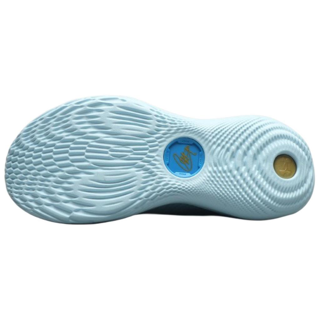 Curry Brand Curry Flow 12 Pisces мужские кроссовки Blue Stream Metallic-Gold 3028496-494