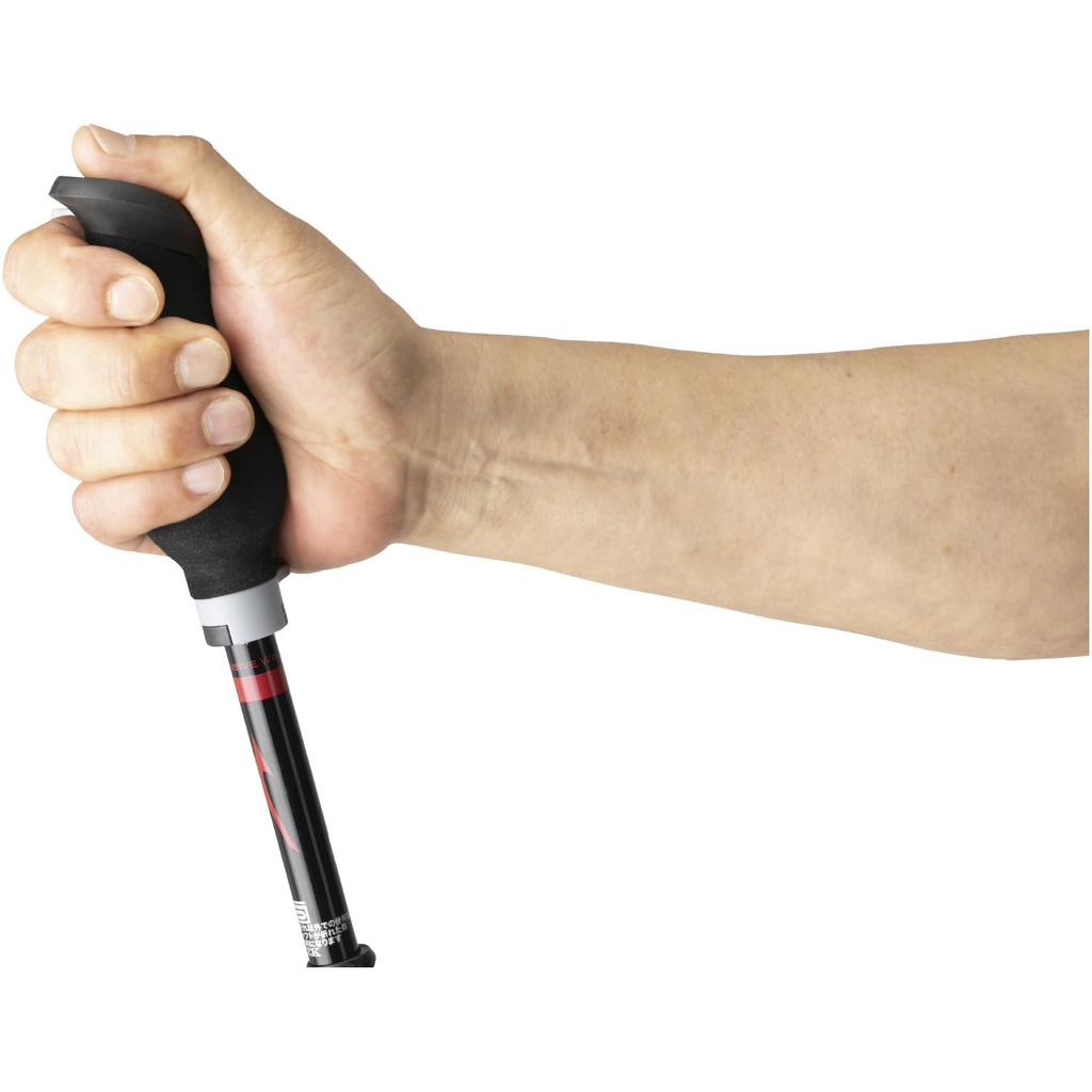 Mizuno Nordic Walk Folding Walking Poles Set of C3JTPB10 4-Section LITE, 2, Unisex, Red,