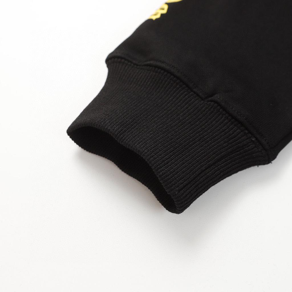 838 CHROME HEARTS 2025 Autumn and Winter New Plus Size Classic Style Logo Hooded Sweatshirt, Suitable for Couples To Wear