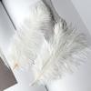 Colored Camel Bird Fur 15 -20cm Wedding Ornament Net Red Wall Decorative Feather Wall Hand Blooming Flowers Diy Dream Network Material