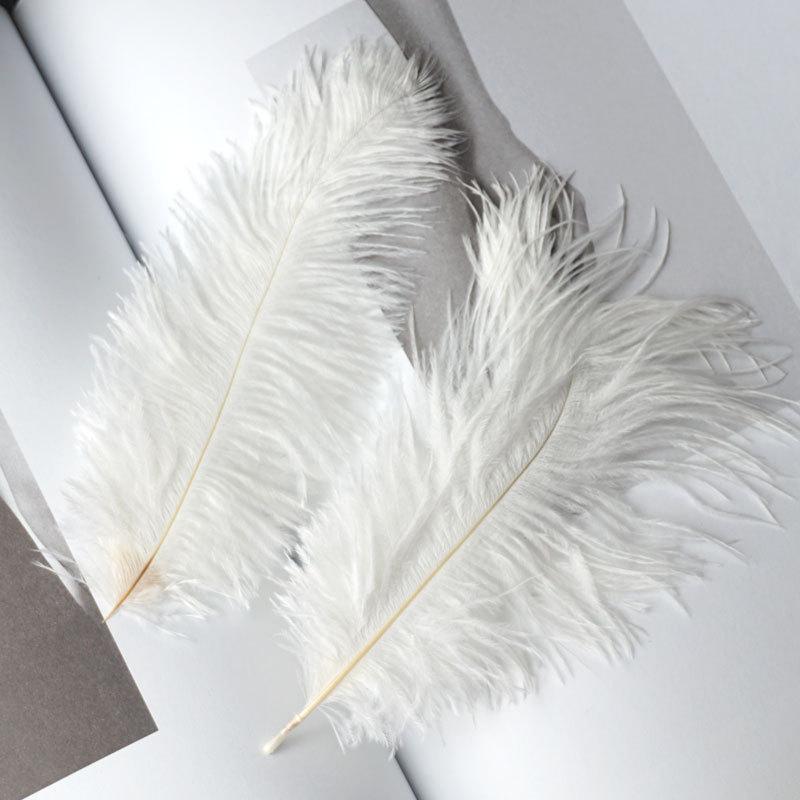 Colored Camel Bird Fur 15 -20cm Wedding Ornament Net Red Wall Decorative Feather Wall Hand Blooming Flowers Diy Dream Network Material