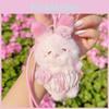 Cherry Blossom Bear Rabbit Cat Plush Keyring For Teen Girls And Collectors