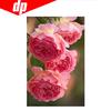 Floral Pink Diamond Embroidery 5D DIY Diamond Cross Stitch Picture Set Full Round Diamond Mosaic