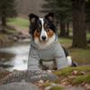New autumn and winter cat and dog hoodies, cartoon hoodies, sports style dog and cat pet hoodies