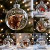 Funny Highland Cow Ornament 2025, Christmas Baubles Transparent Christmas Balls, Christmas Tree Hanging Ornament, 2026 Wildlife Wonders Collection