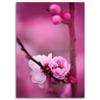 Canvas print, Pink flower and buds on a branch