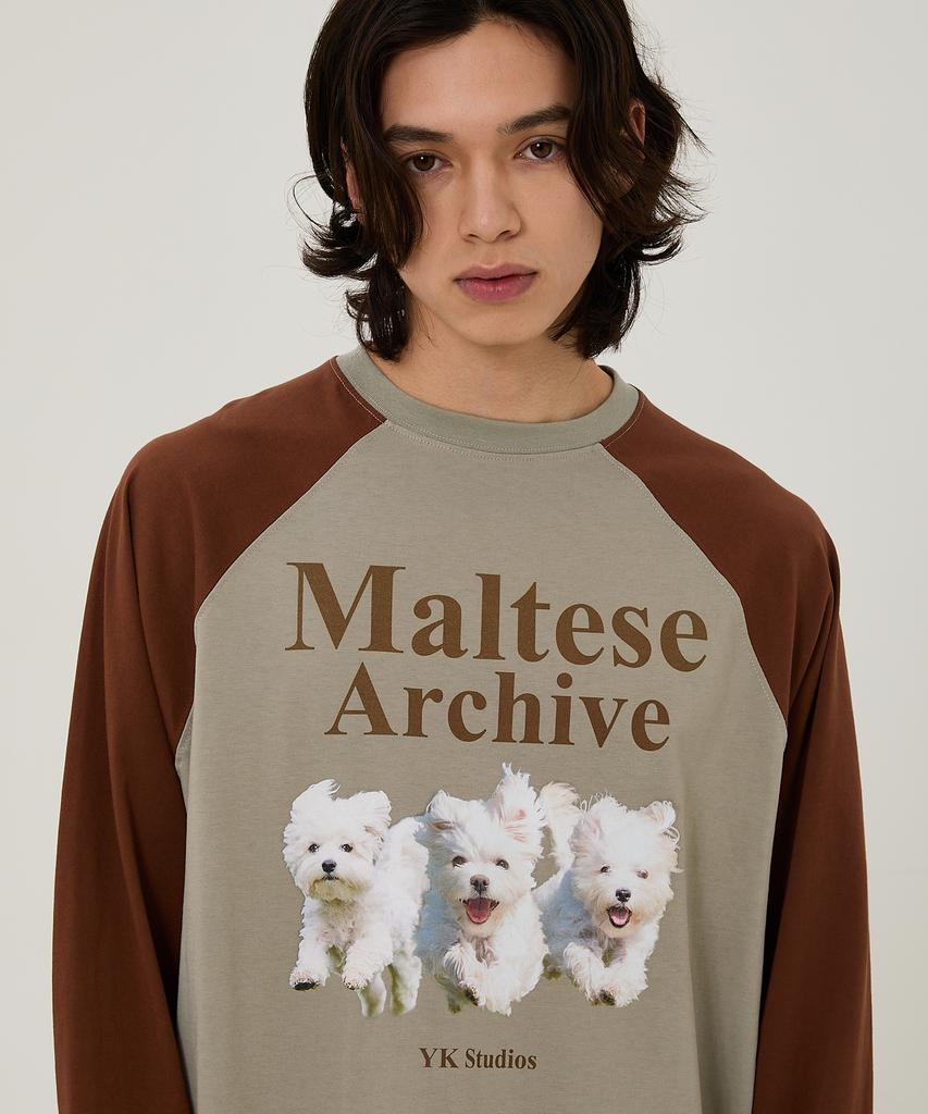 WAIKEI Maltese Archive Raglan Long Sleeve T-Shirt Mint