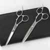 DEEDS GTZ Scissors and Thinning Shears Set by Japanese Scissors Professional Hairdressing Scissors [PF] (6.0 Inches) (6.0 Inches) Manufacturer,