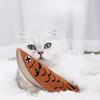 Cat Chew Toy Pet Food Leakage Simulated Fish Bite-resistant Kitten Toy Sound Bell Cat Teeth Grinding Chewing Toy