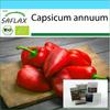 Gift Set - Organic - Hot Chili Pepper – Barak - 15 Seeds - With Gift Box, Card, Label and Potting Substrate - Capsicum Annuum