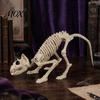 Durable Skeleton Animal Model Halloween Skeleton, Realistic Fish Bird Spider Snake Cat Spooky Figure for Party, Haunted House, Graveyard Scene