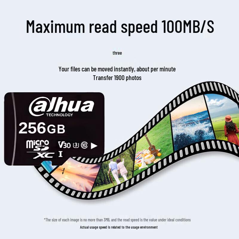 Карта памяти TF Dahua DH-TF-D100 256 ГБ