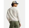Толстовка Polo Ralph Lauren 710B14616001