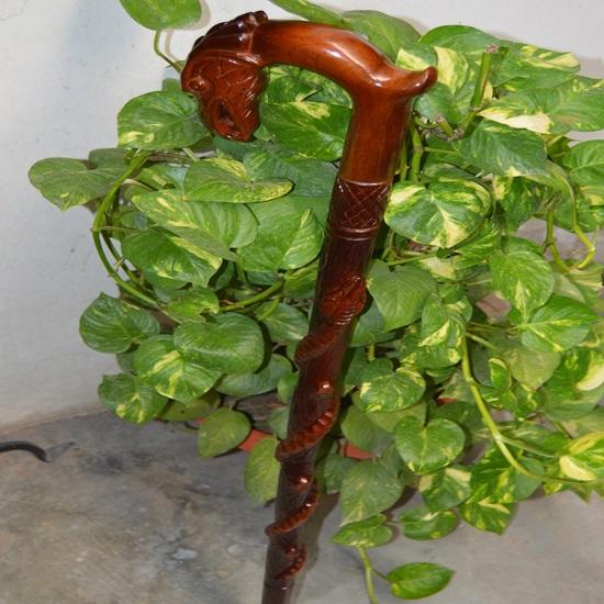 94 Cm Wooden Carved Eagle Head, Snake Climbing On A Tree Shaped Cane Handmade Wood Crafted Comfortable Handle Hand Carved Cane for Man Woman