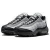 Nike Air Max 95 Reflective Safari Женские кроссовки Черный Светло-Дымчато-Серый Photon-Dust DV5581-001