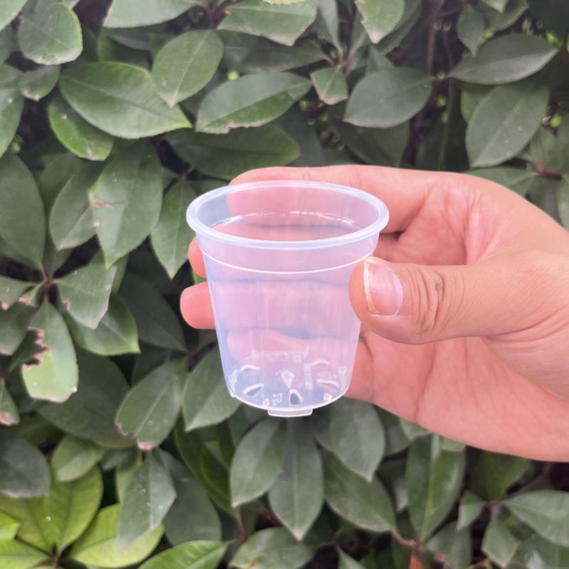 Clear Plastic Orchid Pot: Sphagnum Moss, Square & Round Design for Phalaenopsis or Fish Tanks