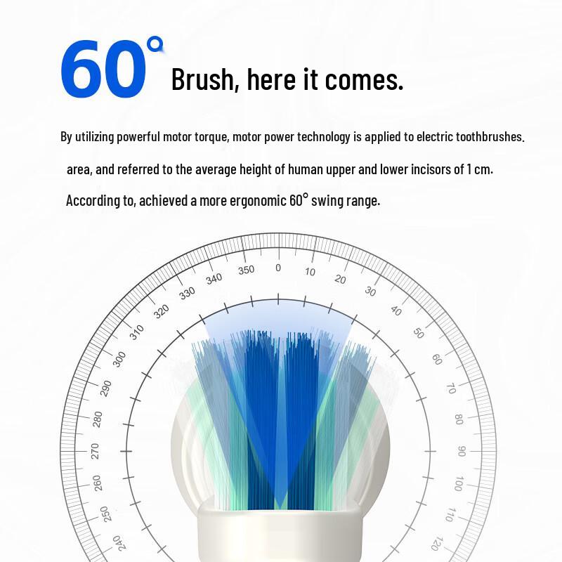 Qianbaimei T5 Sonic Electric Toothbrush CN plug (adapter included)