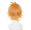 Eileen My Hero Academia Kaminari Denki Wig, Heat-Resistant, Disguise Wig, Anime Wig, School Festival Wig, Includes Net