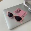 Vintage Cat Eye Sunglasses Women Men Small Frame UV400 Protection Luxury Brand Design Outdoor Eyewear