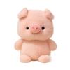 16cm Stuffed Animal Pillow Plush Animal Plush Toy Fashion Plush Companion Doll  Desk