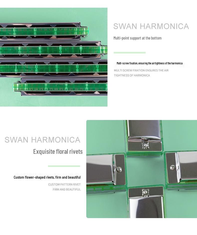 Swan Harmonica: Professional Double Reed, C Key, 24/28 Holes for Beginners & Adults
