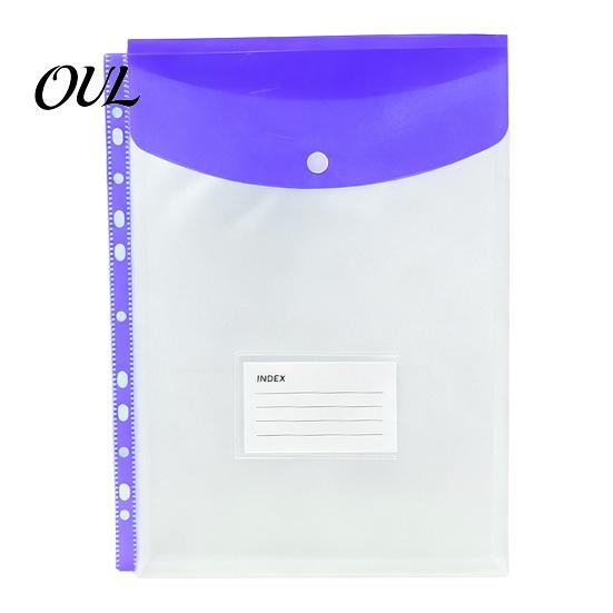 File Pockets 11 Hole Binder for A4 Binders, Plastic Expanding Folders Multi Color with Snap Closure & Transparent Label Slot, Durable Document