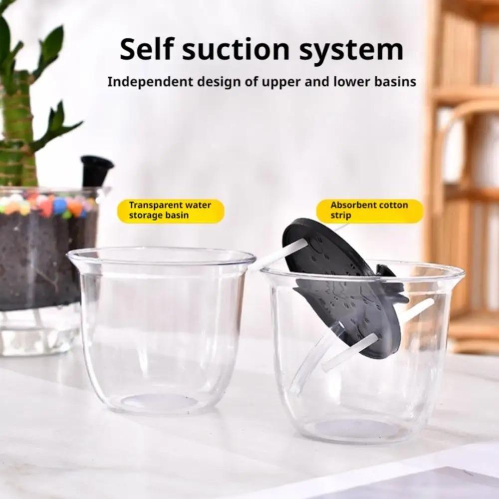 1pcs Transparent Self Watering Plant Pot Self Watering Planter Pot Flowerpot  Indoor Plants