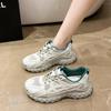 Ins Internet Celebrity Dad Shoes Women 2025 Autumn and Winter New Mesh Fashion Casual Shoes Lightweight Platform Shoes