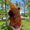 New 21cm Capybara Plush Toy Simulation Capibara Anime Fluffty Toy Cute Animals Beach Style Stuffed Doll Christmas Gifts for Kids