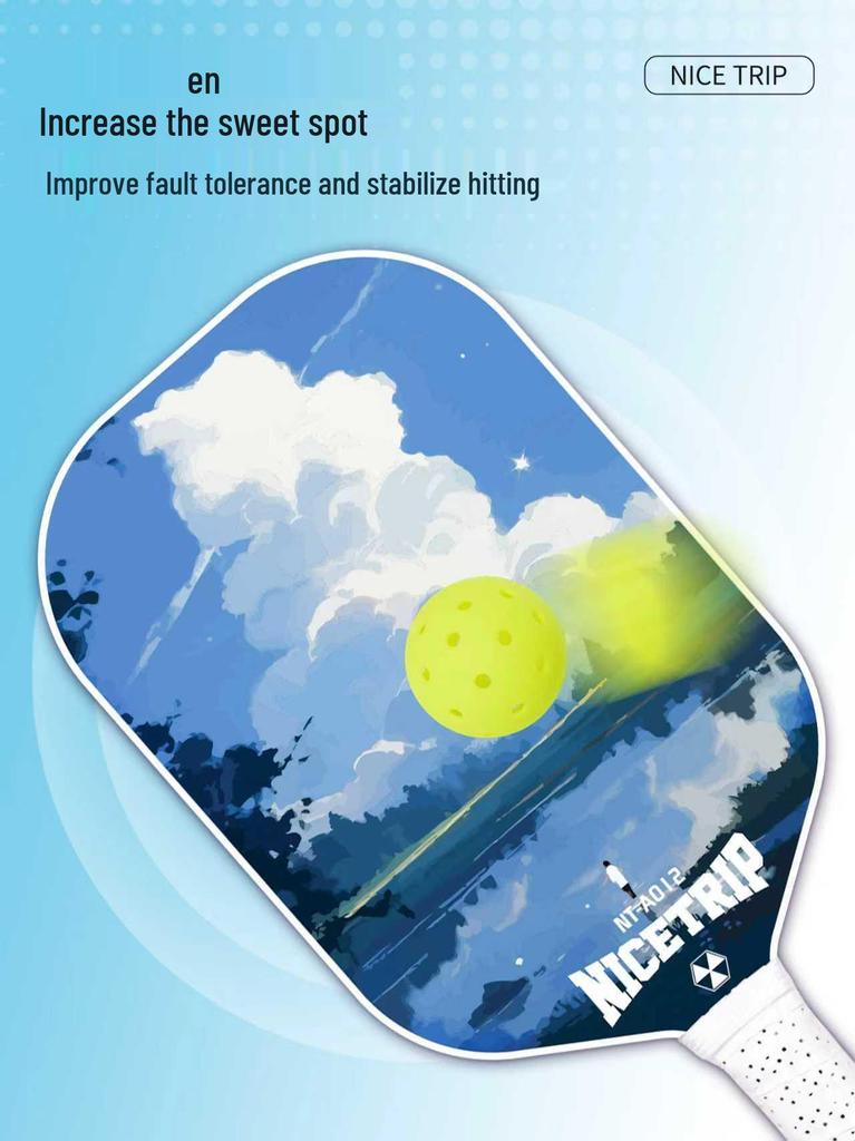 Professional Fiberglass Pickleball Paddle Set for Children and Adults