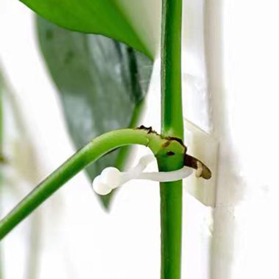 50Pcs Vine Fixing Clip Punch Free Self-adhesive Wall Climbing Plant Branch Binding Fixer Balcony Supplies