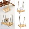 Interactive Cage Hanging Swing Toy for Small Pets Featuring Durably Hook for Hamster Birds and Active Sugar Gliders
