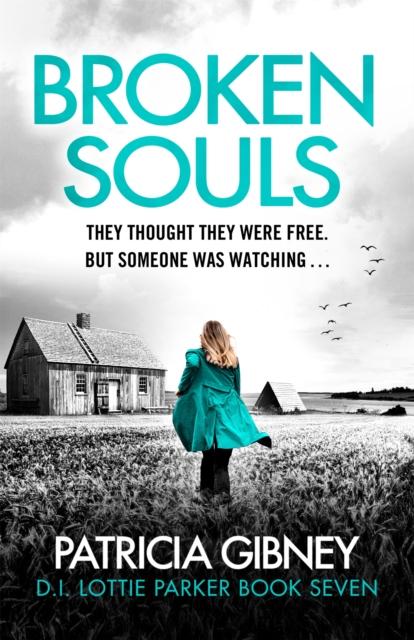 The Broken Souls : An Absolutely Addictive Mystery Thriller with a Brilliant Twist Book
