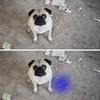 UV Flashlight Pets Blacklight Dogs Cats Urine Detector Ultraviolet Flashlight Dry Stains On Clothes