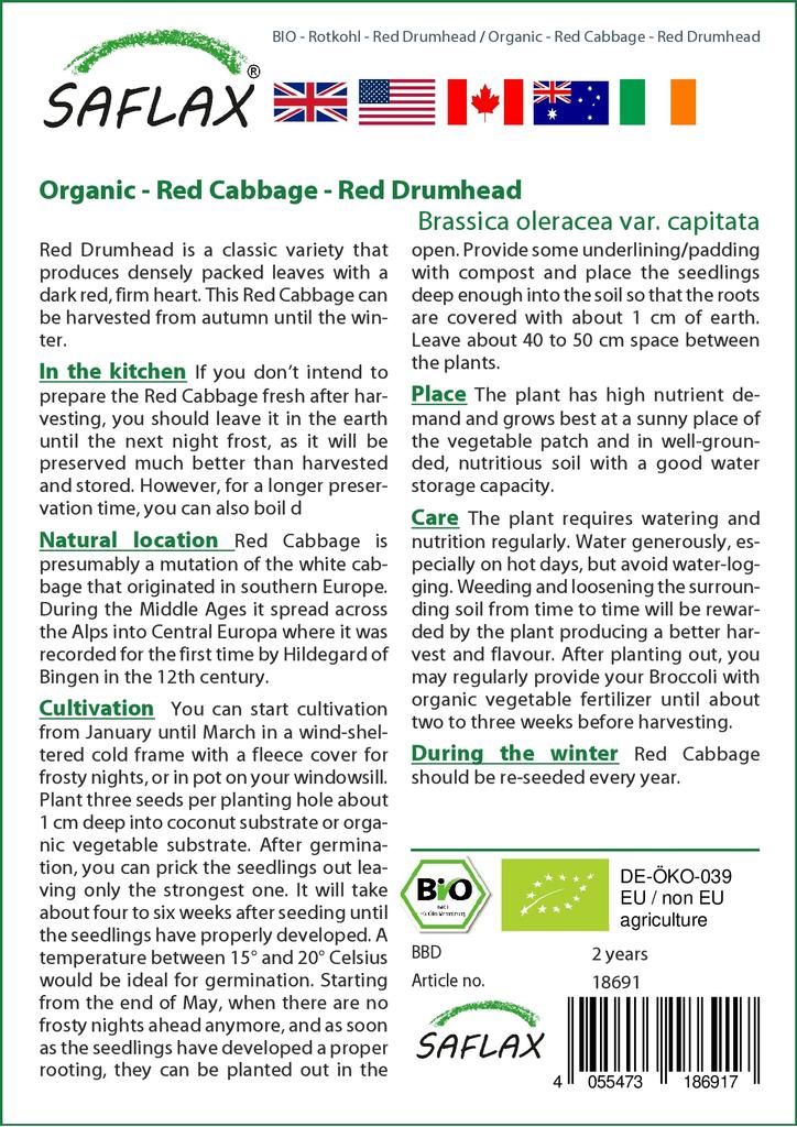 SAFLAX Organic - Красная капуста - Красная головка - 250 семян - Brassica oleracea