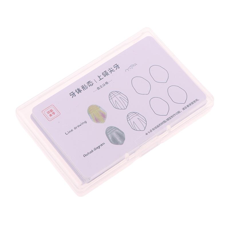 Стоматологическая композитная пломбировочная доска для практического применения Модель Зубы Шаблон Реставрация Полости Стоматолог Передняя Задняя Практика Стек Смолы