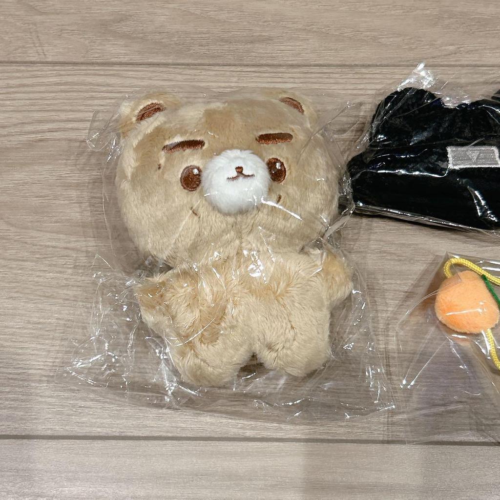 [USED] WayV Keishin V Kun KUN Master Plush Toy Kuni Bear