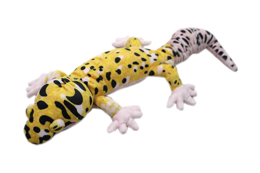 Take Off Leopard Gecko