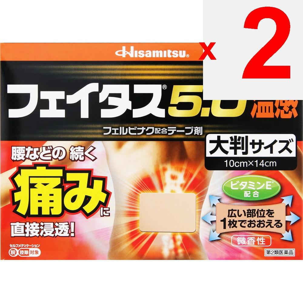 Hisamitsu Pharmaceutical Fitas 5.0 Warm Sensation Large Size 10 Sheets Plasta (Warming) Paste Indications: Joint Pain, Muscle Pain, Lower Back Pain, T
