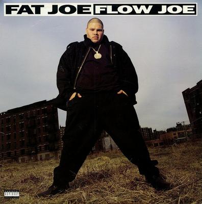 12-дюймовая пластинка FAT JOE Flow Joe 8856111851 Relativity Vio 1993 US Rap HipHopRB Б/у