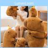 Cap Capybara Birthday Plush Toy Cute Animal Doll Room Decoration Gift Holiday