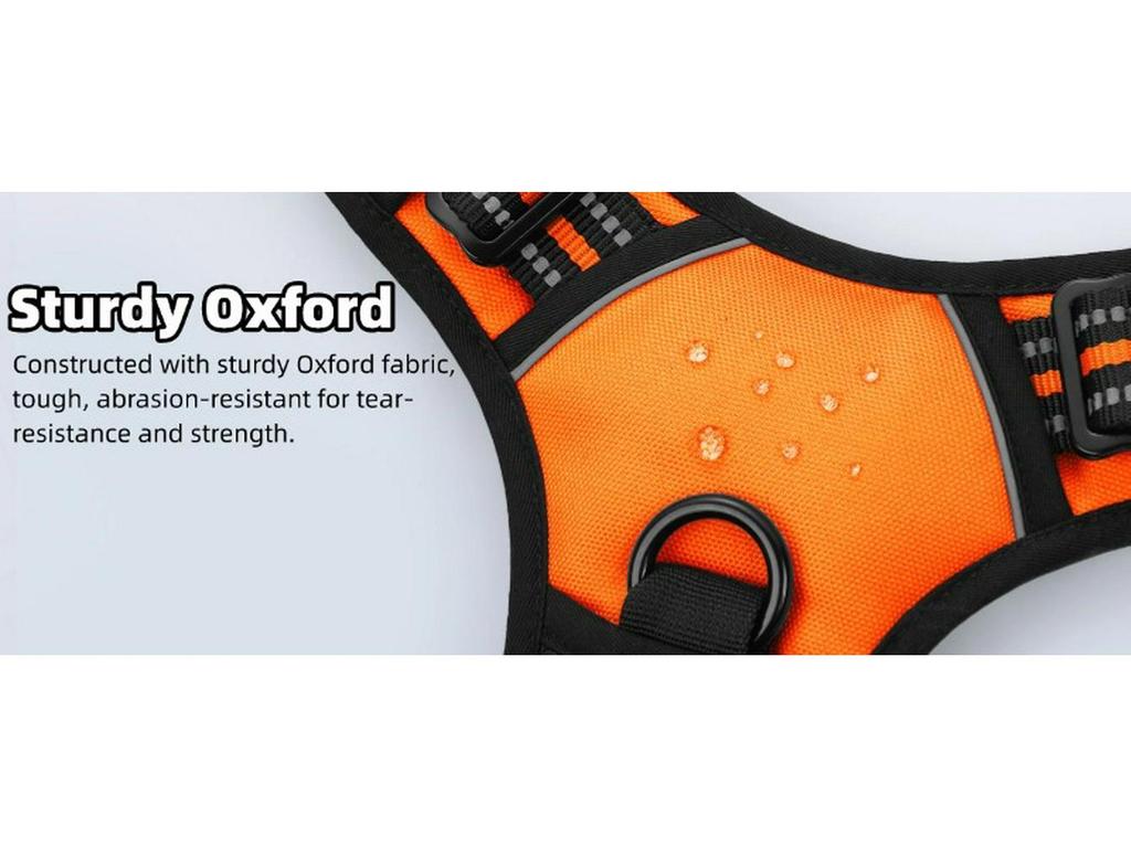 Нейлоновая шлейка для груди и поводок для крупных питомцев