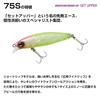 Daiwa Shore Line Shiner Z Set Upper 75S Laser Sard