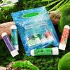 4Pcs/Pack Nasal Stick Long Lasting Effect Refreshing Plant Mint Stick Inhaler Refreshing Stick Essential Oil