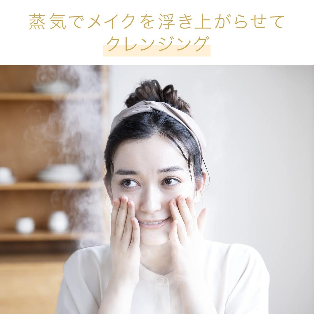 Panasonic Steamer Nano Care Compact Type Gold Tone EH-SA3C-N