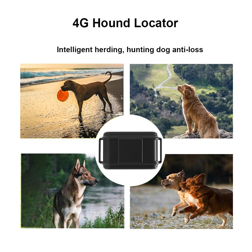 GPS-трекер для собак 50$ GPS 2G Мини-GPS-локатор Поддержка функции электронной изгороди Встроенная батарея 4000 мАч Длительное время ожидания Отслеживание кошек