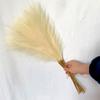 10pcs 55cm Faux Pampas Grass Artificial Pompous Grass Vase Filler Flower for Home Living Room Kitchen  Wedding  Boho Decor