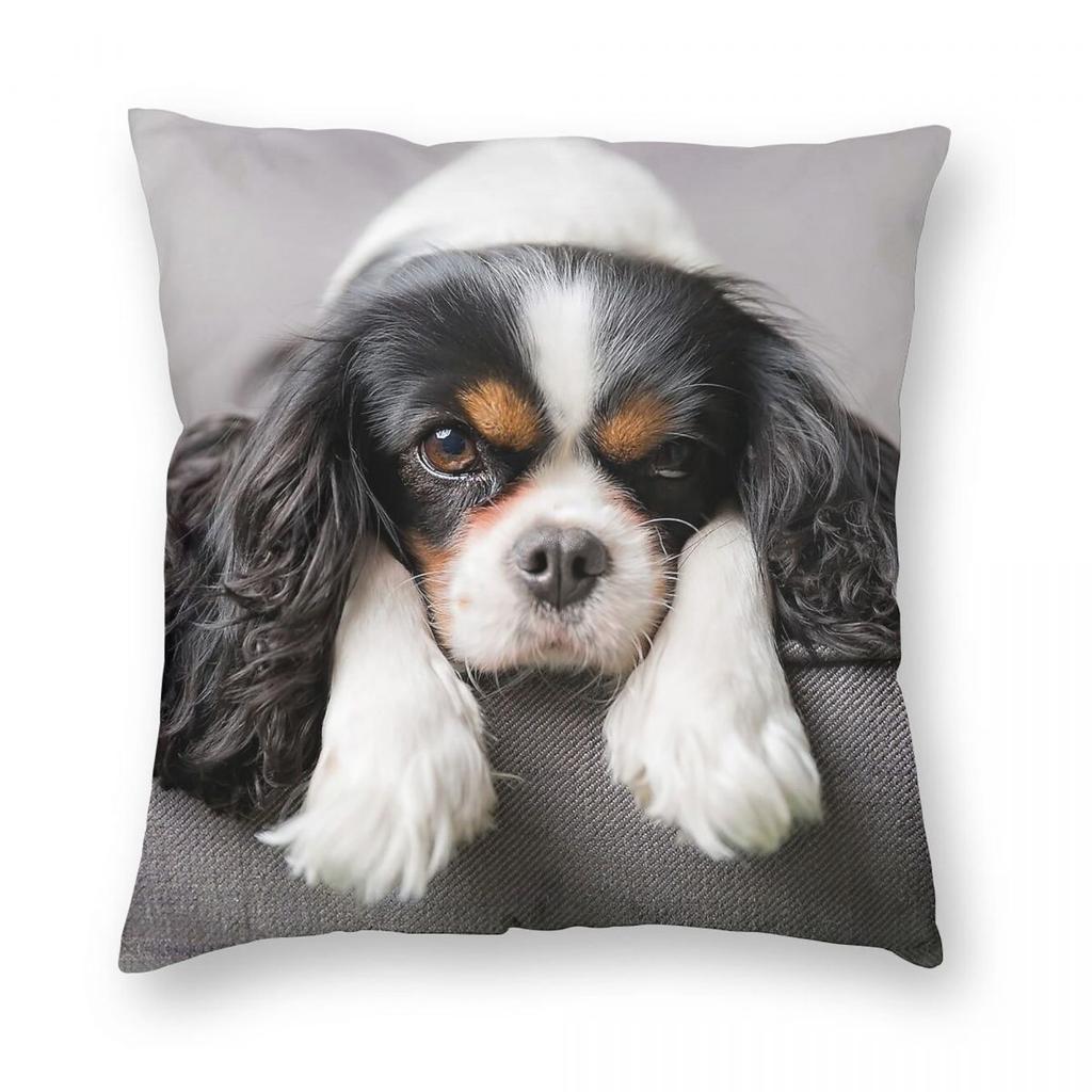 Cavalier King Charles Spaniel Square Pillowcase Polyester Linen Velvet Printed Zip Decorative Pillow Case Home Cushion Cover