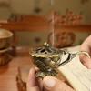 Zinc Zinc Alloy Lotus Hand Stove Retro Copper Brass Incense Holder Incense Burner  Indoor